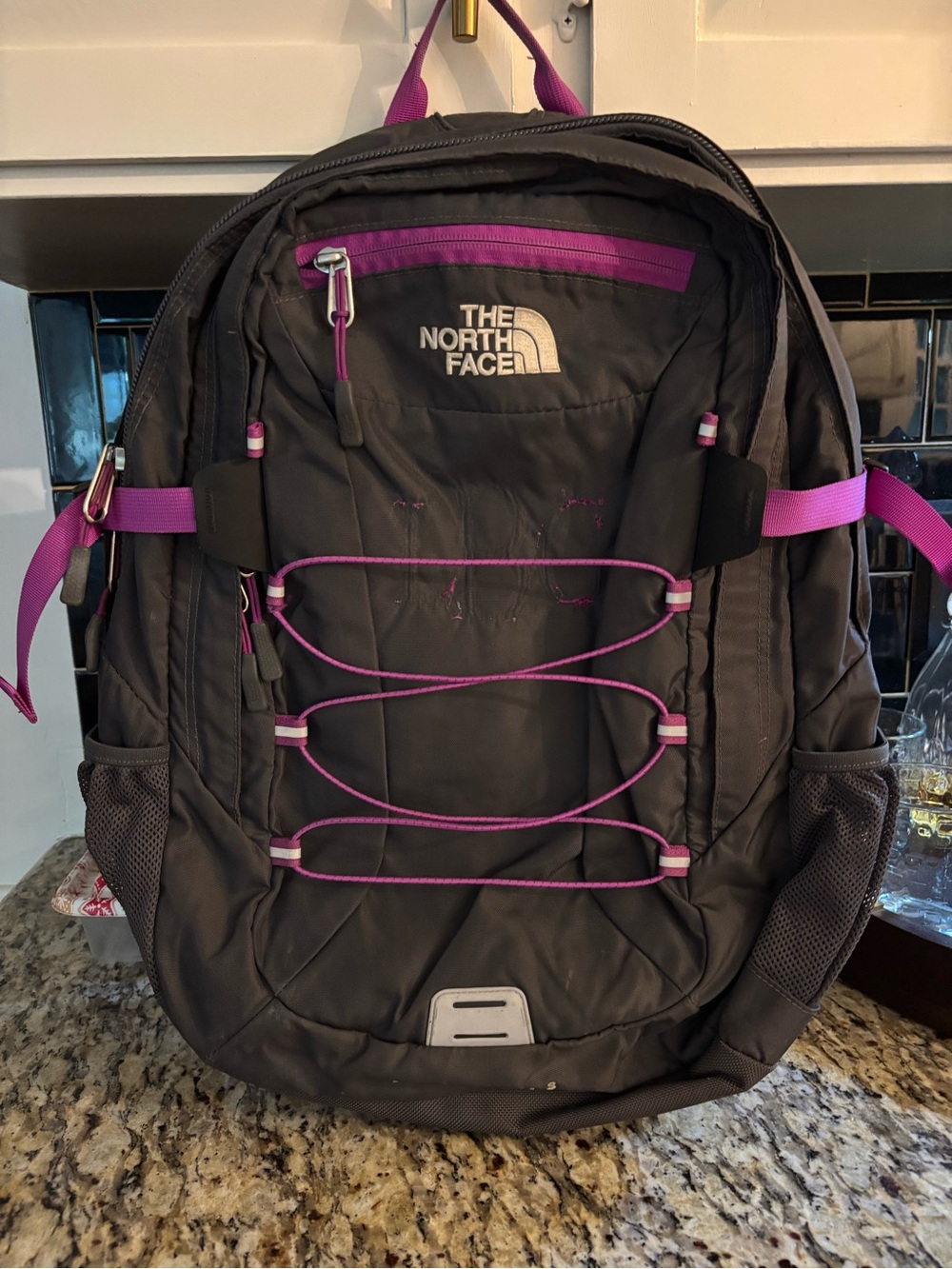 The North Face Borealis Backpack with Purple Accents